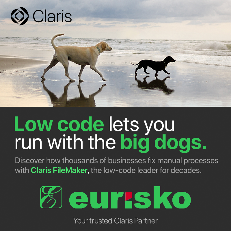 Low Code lets you run with the big dogs